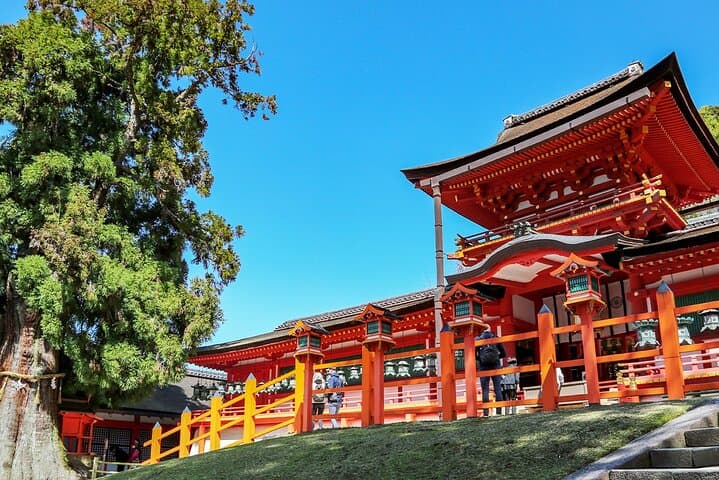 Nara Deer Park, Uji Matcha, & Hot Spring Full-Day Tour from Osaka — photo 10