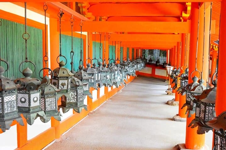 Nara Deer Park, Uji Matcha, & Hot Spring Full-Day Tour from Osaka — photo 11