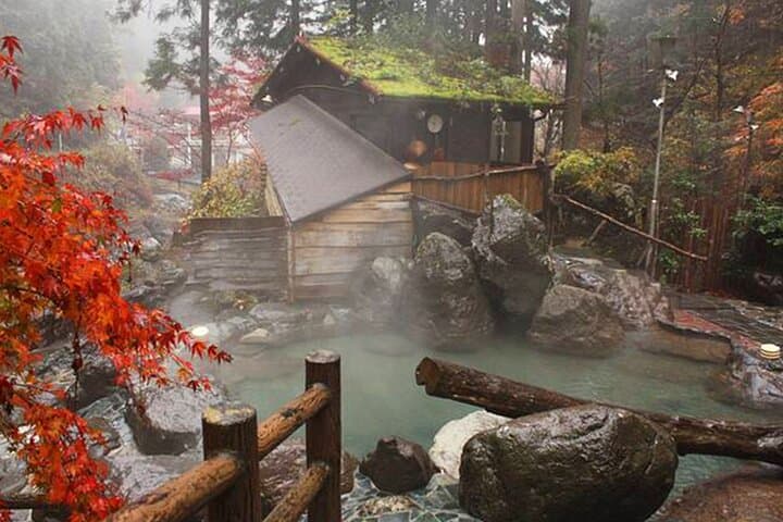 Nara Deer Park, Uji Matcha, & Hot Spring Full-Day Tour from Osaka — photo 17