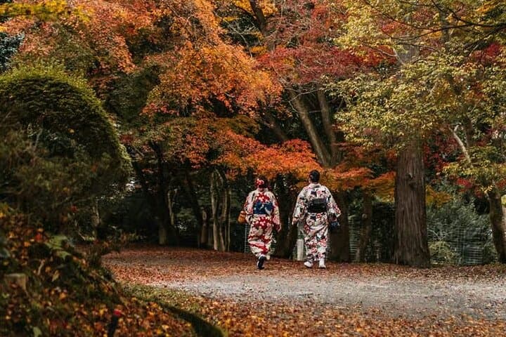 Tokyo Autumn Colors Gardens Shrines and Tea Tour — photo 3