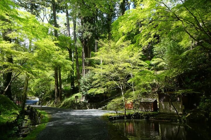 Otsu: Ishiyama-dera Sacred Stone Temple by Lake Biwa — photo 3