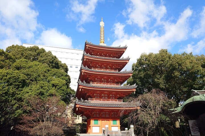Explore Fukuoka History Culture and City Life — photo 9