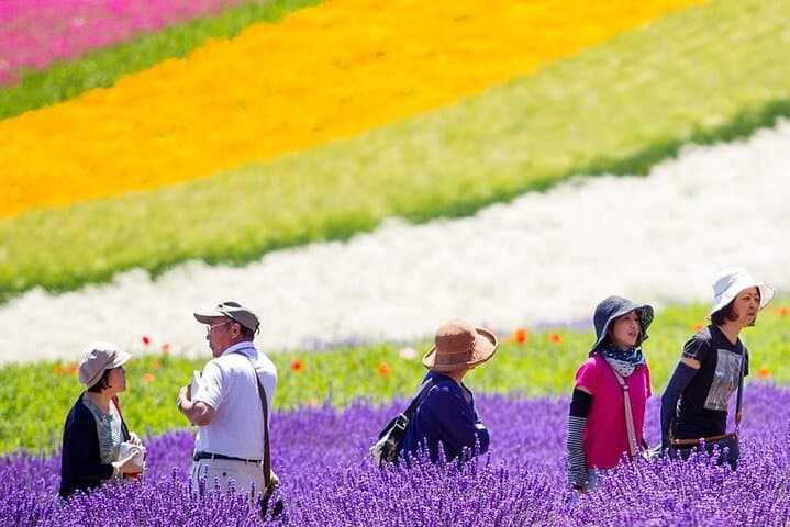 Hokkaido Furano Lavender & Biei Blue Pond Tour with Lunch — photo 5