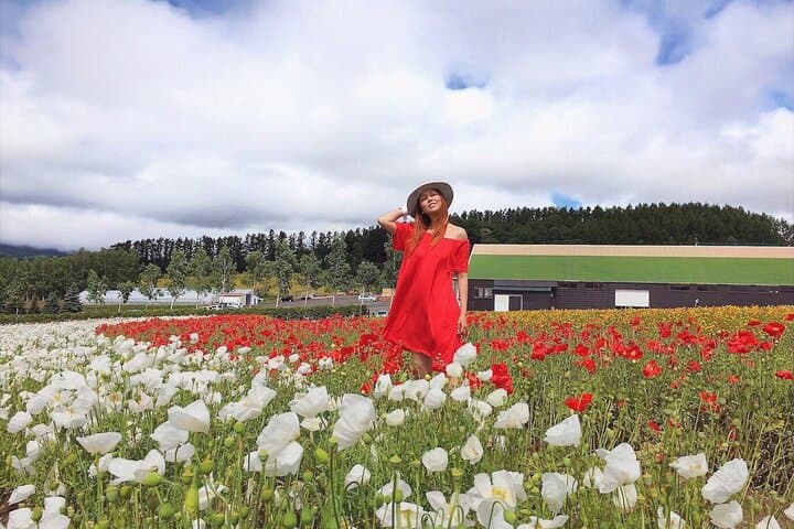 Hokkaido Furano Lavender & Biei Blue Pond Tour with Lunch — photo 13
