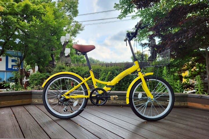 1 Day Bicycle Rental near Lake Kawaguchi — photo 7