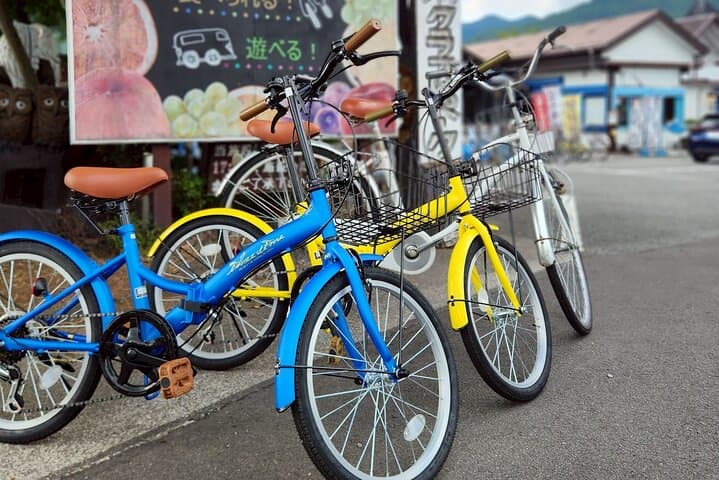 1 Day Bicycle Rental near Lake Kawaguchi — photo 2