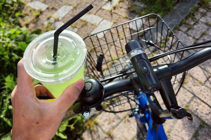 1 Day Bicycle Rental near Lake Kawaguchi — photo 9