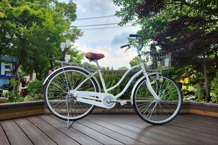 1 Day Bicycle Rental near Lake Kawaguchi — photo 8