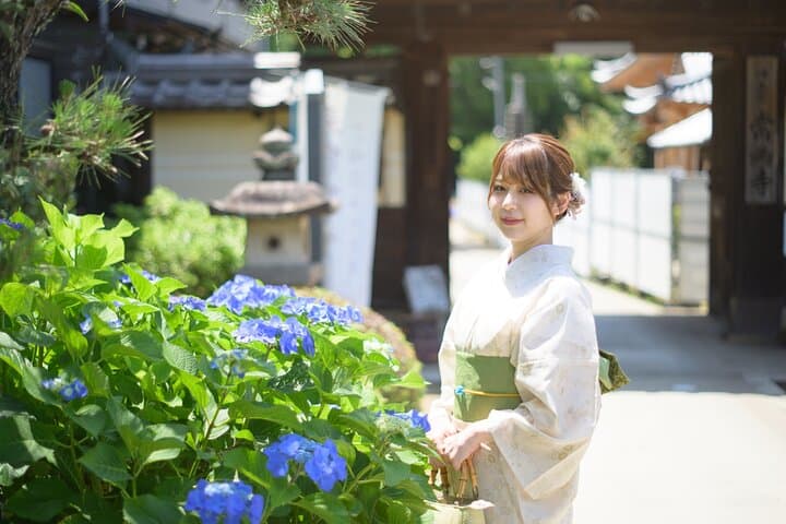 Kimono Rental and Tea Ceremony Experience in Inuyama — photo 3