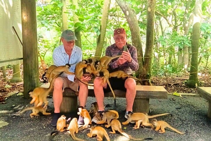 All-Inclusive Ishigaki Island Shore Excursion with English Guide — photo 17