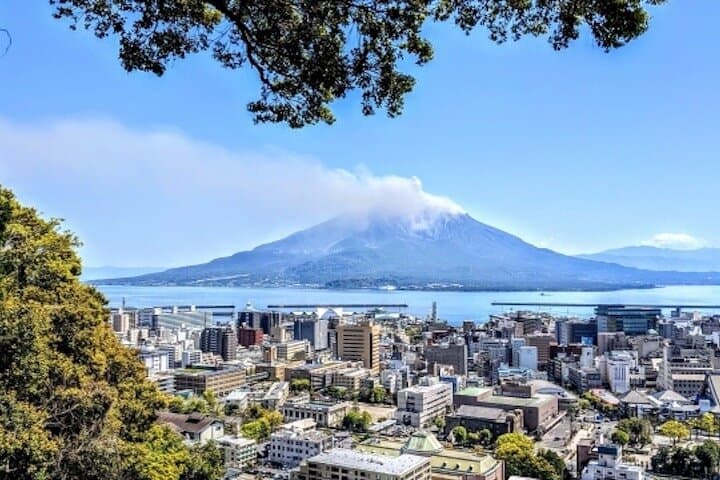 Kagoshima Shared Half-Day Tour (One-Way Transfer from Port) — photo 6