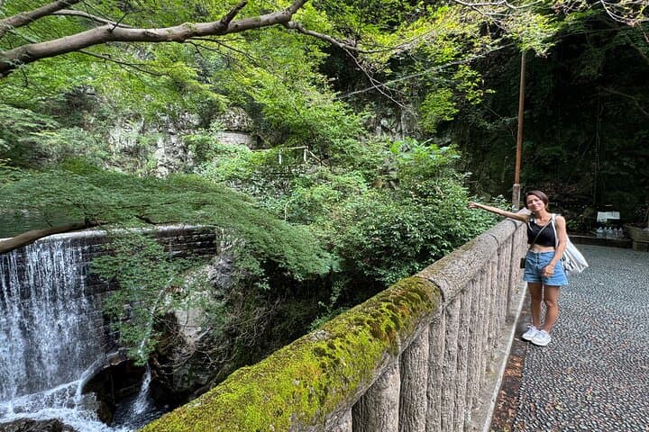 Kobe Guided Tour Nunobiki Waterfalls and Herb Garden — photo 19
