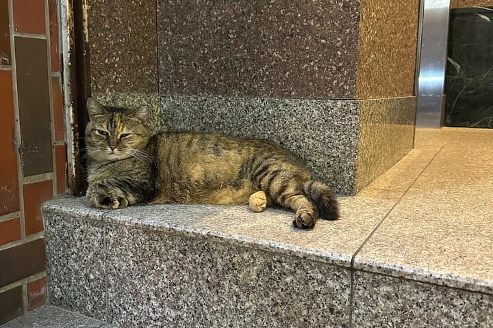 Evening Foodie Walk through Nagasaki's Backstreets — photo 3