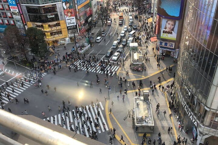 6-Hour-Tour Tokyo Highlights — photo 1