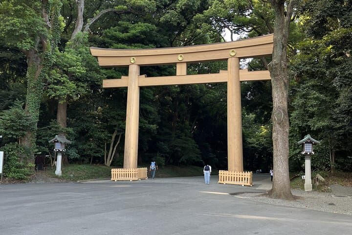 6-Hour-Tour Tokyo Highlights — photo 10