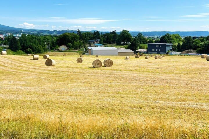 Farm Tomita Shikisai Hill Blue pond with optional Buffet| Sapporo — photo 10