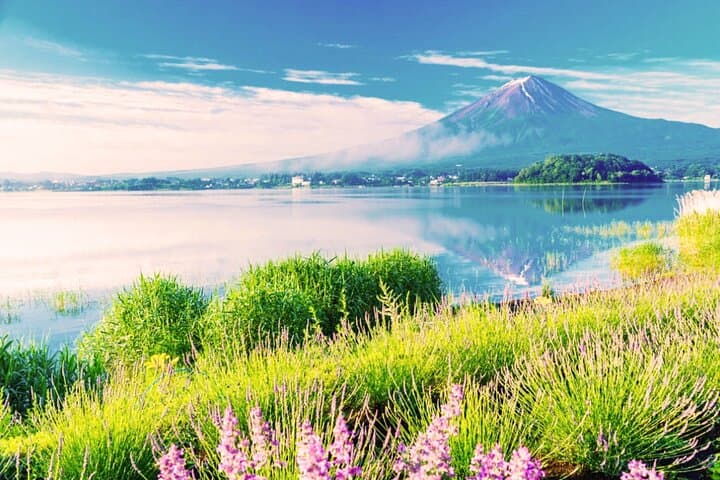 Mt. Fuji and Hakone Private Car Day Trip: Customizable Itinerary — photo 3