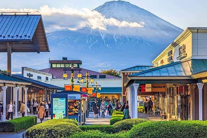 Mt. Fuji and Hakone Private Car Day Trip: Customizable Itinerary — photo 4