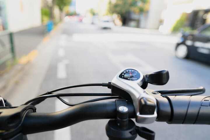 Tokyo: Private 3-Hour E-Bike Tour of Best City Highlights — photo 13