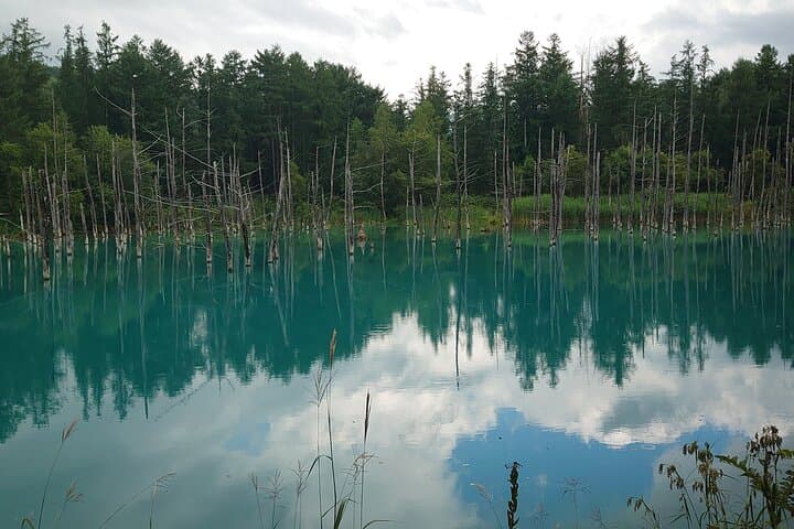 Private Hokkaido Guided 5 Day Tour with Transportation — photo 2