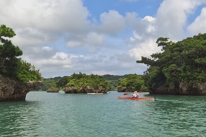 Okinawa: Kayak Mangroves & Ocean Native-English Private Tour — photo 2
