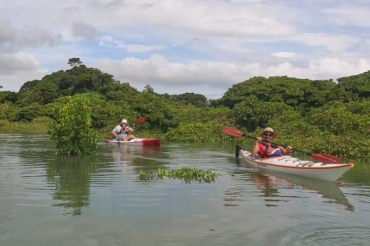 Okinawa: Kayak Mangroves & Ocean Native-English Private Tour — photo 8