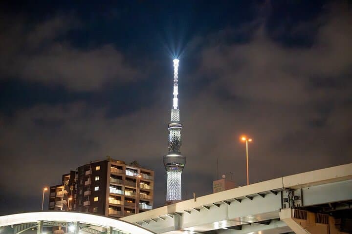 Tokyo Private Night Cruise Experience — photo 12