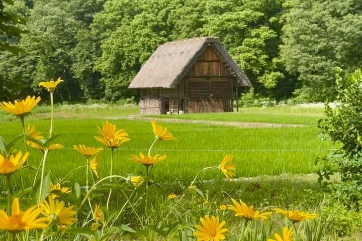 Nagoya Shirakawago and Takayama One Day Tour — photo 5