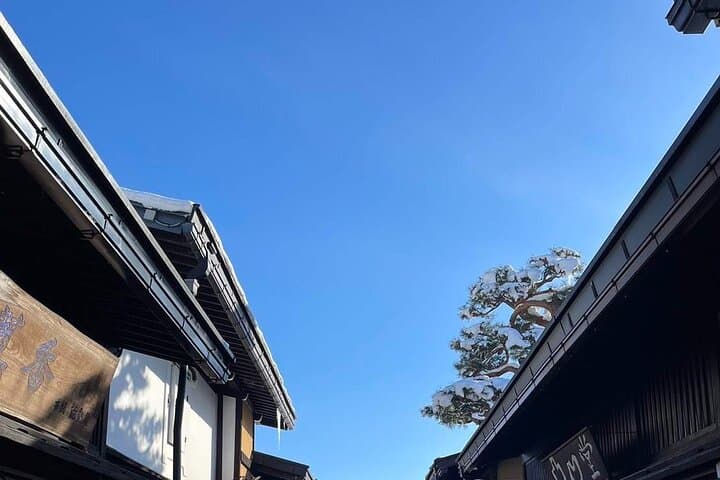 Nagoya Shirakawago and Takayama One Day Tour — photo 12