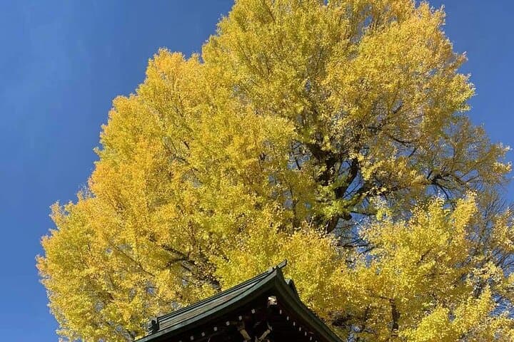 Nagoya Shirakawago and Takayama One Day Tour — photo 13
