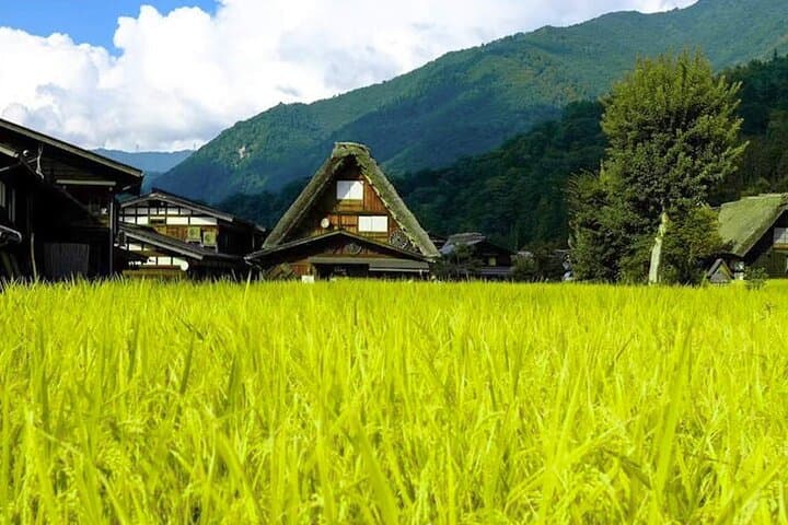 Nagoya Shirakawago and Takayama One Day Tour — photo 16