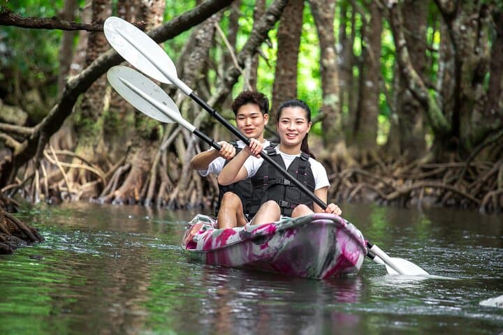 Ishigaki Mangrove Canoe or SUP & Taketomi Island Exploration — photo 2