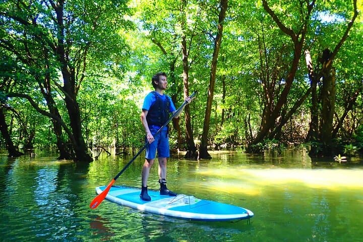 Ishigaki Mangrove Canoe or SUP & Taketomi Island Exploration — photo 8