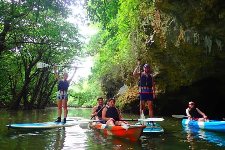 Ishigaki Mangrove Canoe or SUP & Taketomi Island Exploration — photo 7