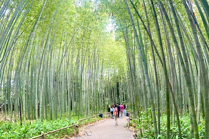Bamboo Grove Temple and Garden Views Tour — photo 7