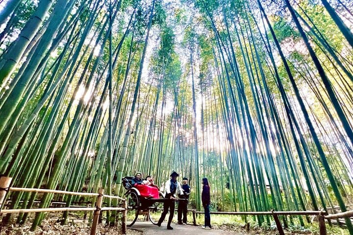 Bamboo Grove Temple and Garden Views Tour — photo 5