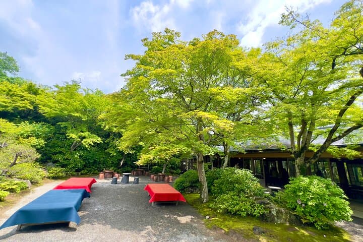 Bamboo Grove Temple and Garden Views Tour — photo 8