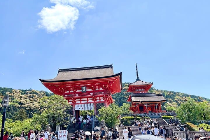 Kyoto Half Day Highlights Tour — photo 8