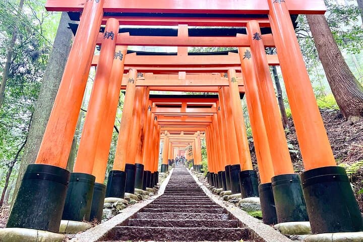 Kyoto Half Day Highlights Tour — photo 5