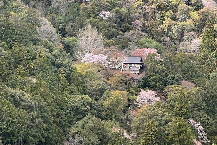 Bamboo Grove Temple and Garden Views Tour — photo 16