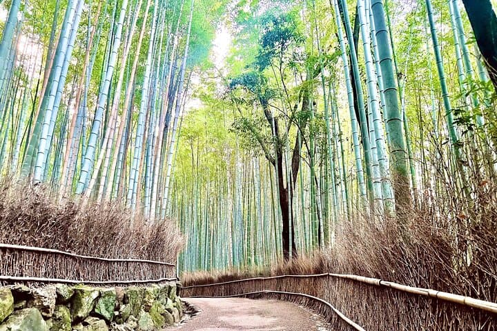 Bamboo Grove Temple and Garden Views Tour