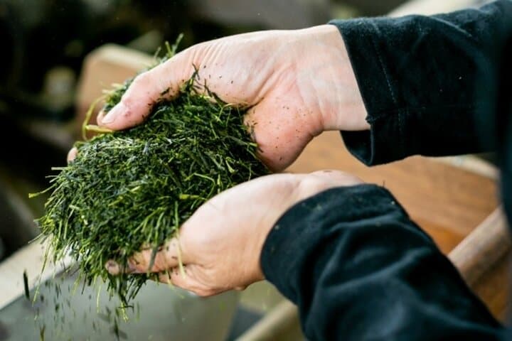 Discover Fukuoka's Sake Tasting and Tea Class — photo 7