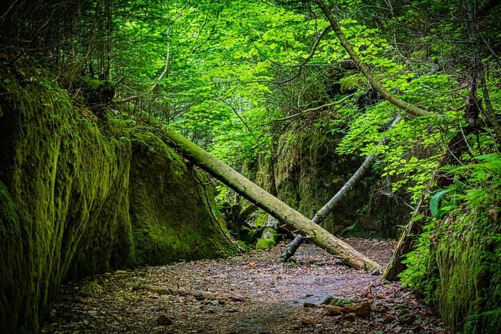 National Park Day Hike from Sapporo by Private Car — photo 5
