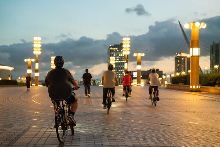 Tokyo Bay Area Sunset Night View 3h Guided Cycling Tour — photo 1