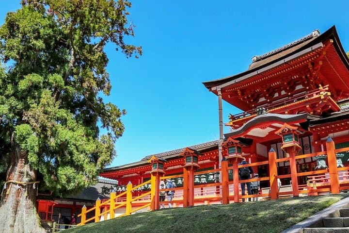 Nara Afternoon guided Tour from Osaka or Kyoto — photo 9