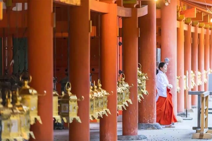 Nara Afternoon guided Tour from Osaka or Kyoto — photo 10