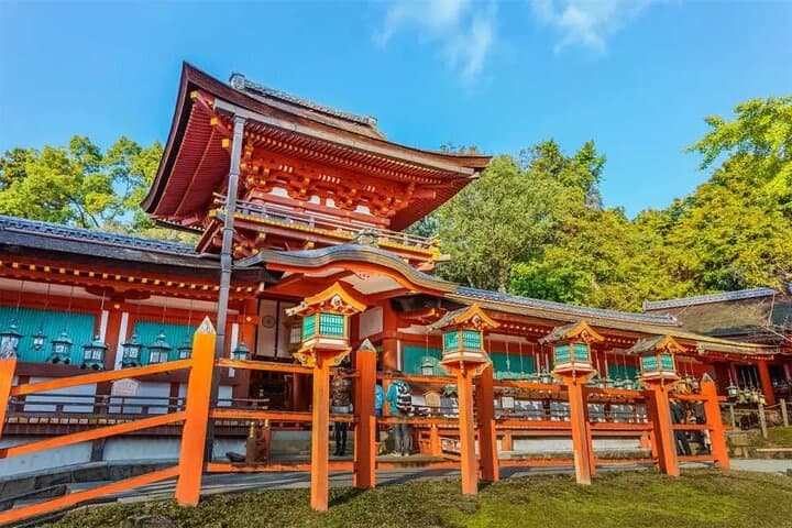 Nara Afternoon guided Tour from Osaka or Kyoto — photo 12