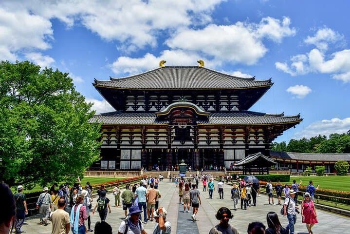 Nara Afternoon guided Tour from Osaka or Kyoto — photo 14