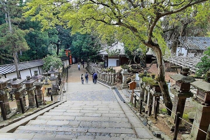 Nara Afternoon guided Tour from Osaka or Kyoto — photo 17