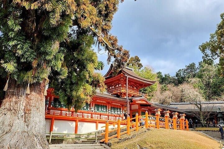Nara Afternoon guided Tour from Osaka or Kyoto — photo 18